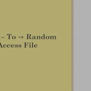 Write Data To Random Access File In Java