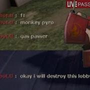 Encounter With Tacobot User
