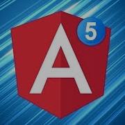 Angular Lecture 14 Angular Metadata