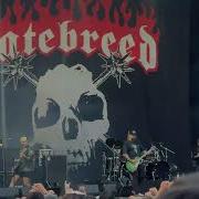 Hatebreed Live Hellsinki Metal Festival 2025