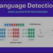Rasa Algorithm Whiteboard Language Detection
