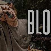 Bloom Daylight Official Music Video