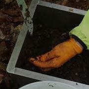Sampling The Forest Floor WILDCARD Project Soil Sampling Video 1 5