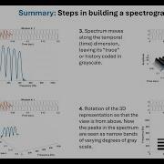 NCVS Insights 2 4 Anatomy Of A Spectrogram