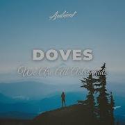 We Are All Astronauts Doves