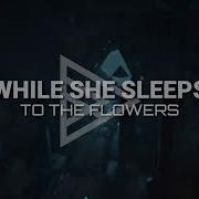 While She Sleeps TO THE FLOWERS Lyrics