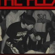 The FLEX Demo 2012