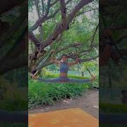 Sigma Rule Girls Pee Pants Short Video Shortviral Viral Motivation