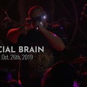 ARTIFICIAL BRAIN Live At Saint Vitus Bar Oct 26th 2019 FULL SET
