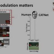 Putting Visual Object Recognition In Context