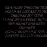 Evanescence Away From Me With Lyrics