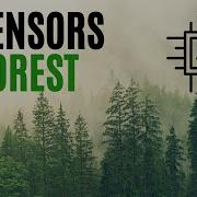 AI Sensors In The Forest Can Smell A Wildfire Before It Spreads TMTNT TECHNOLOGY