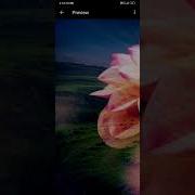 Image Change With A Animated Background Coding Programming Computerscience Using Html Css Js