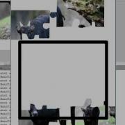 Special Error Code 1009 Troubleshoot
