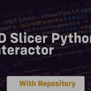 3d Slicer Python Interactor