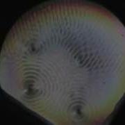 4 Walking Droplets Interacting