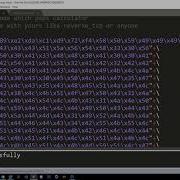 Stack Overflow Using Pop Pop Ret Method