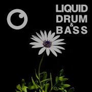 Liquid Drum Bass Sessions 2020 Vol 35
