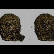 Texture Transfer Functions For Direct Volume Rendering