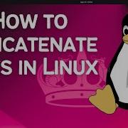 How To Concatenate Files In Linux