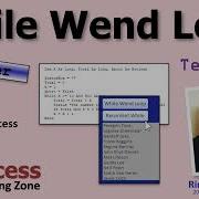 While Wend Loops In Microsoft Access VBA