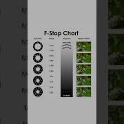 Master The Aperture F Stop Chart Explained