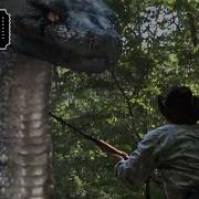 Boa Vs Python Snake In The Forest