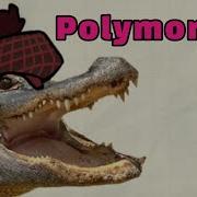 D D 5E Advanced Guide To Polymorph