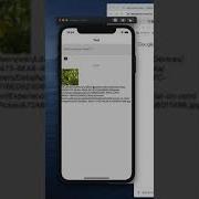React Native Upload Image From Local Phone Demo
