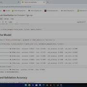 Image Classification Using CNN Dog Vs Cat Classification