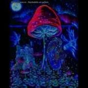 Punchline 4th Dimension Remixed By Psychedelic Cat