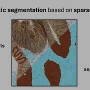 Convpaint Semantic Segmentation Using Pretrained AI Models