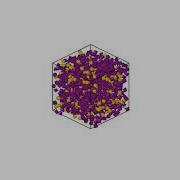 Maya Martirossyan S Physics Simulations Lab