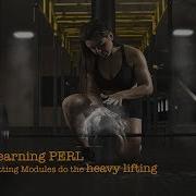 Using Modules In Perl To Format Numbers
