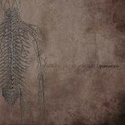 Pathogen