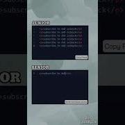 Junior Vs Senior Programmer Shortcut Vscode Webdevelopment Coding
