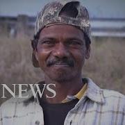 Snake Hunters From India Tackle Florida S Python Problem