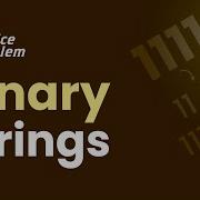 Binary Strings School Practice Problem GeeksforGeeks