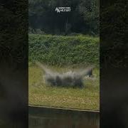 TANGO Security Force M67 Hand Grenade Range 8th Army
