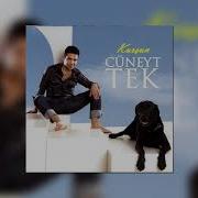 Cüneyt Tek Evlilerde Sever