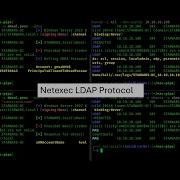 Using Netexec LDAP Protocol