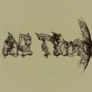 Test Plexus