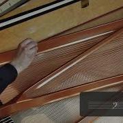 Extended Piano Techniques Sweep Plectrum Along 2 Strings