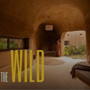 Inside 1450 Sq Ft Self Sustaining Home In The Wild Of Tamilnadu Built Without Columns ArchPro
