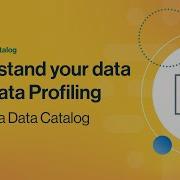 Understand Your Data With Data Profiling In Collibra Data Catalog