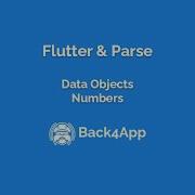 Flutter And Parse Data Objects Numbers