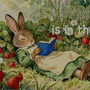 Spring Is In The Air Cozy Spring Storybook Music