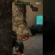 Virtual Reality Meets Christmas Tree Shorts 12DaysofLols Afv Funny Christmas Holiday Fail