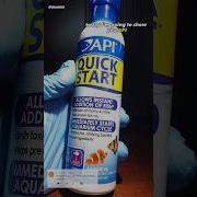 Nitrifying Bacteria Under Microscope API Quick Start