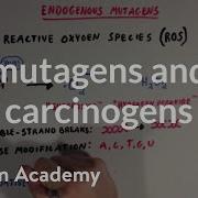 Mutagens And Carcinogens Biomolecules MCAT Khan Academy